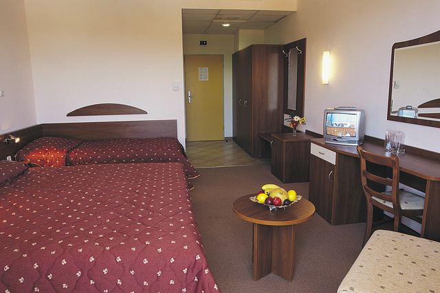 Hotel Continental Park - double room 3+*