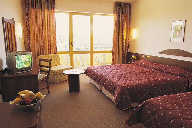 Continental Park Hotel - double room 3+*